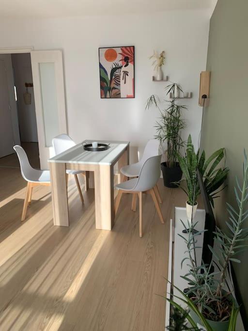 Appartement Le 48 Narbonne Exteriér fotografie